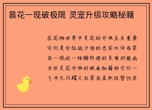 昙花一现破极限 灵宠升级攻略秘籍